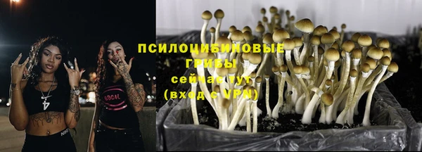 МДПВ Покров