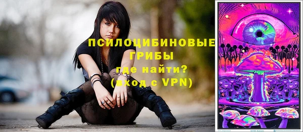 меф Пересвет