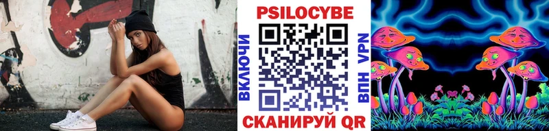 Псилоцибиновые грибы мицелий наркошоп Кирсанов